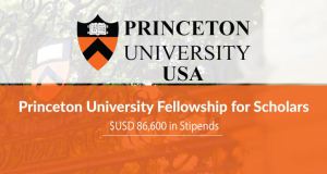 princeton university usa fully funded fellowship for scholars