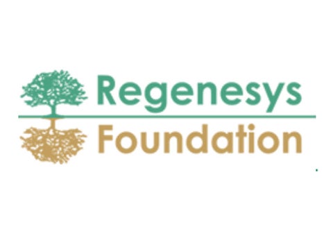 769ef76d regenesys foundation