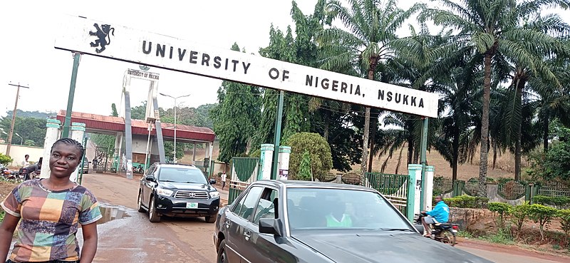 University Gate University of Nigeria Nsukka Nigeria
