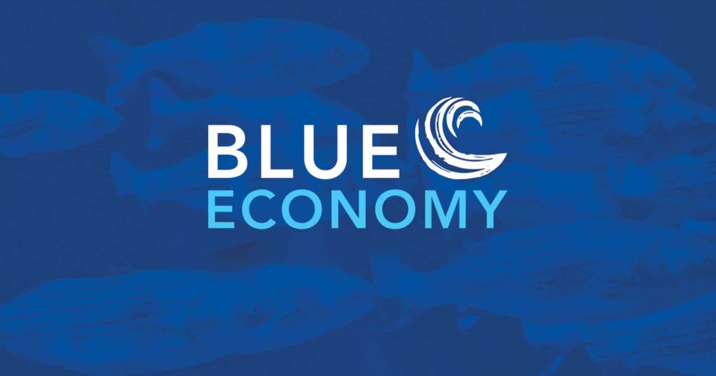 Blue Economy 2048x1075 1