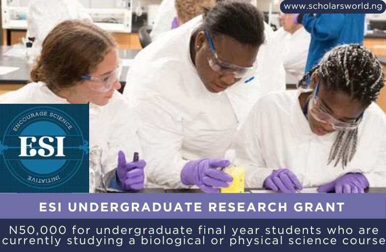 ESI Undergraduate Research Grant
