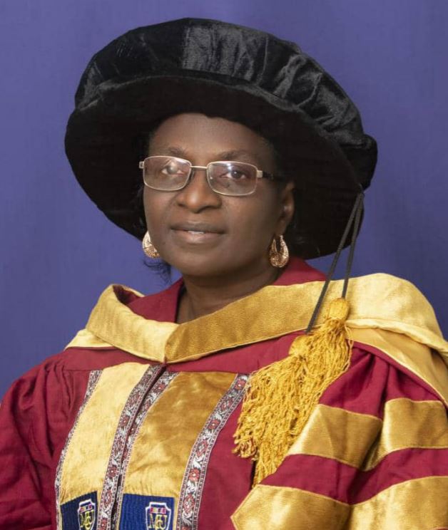 Bursar McPherson University Aderonke Adeofun